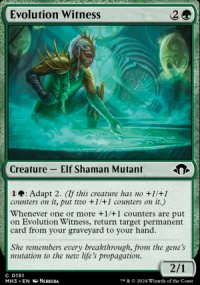 Evolution Witness - Modern Horizons III