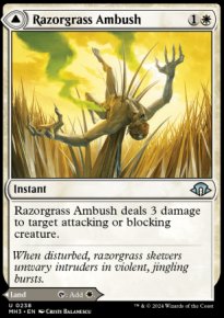 <br>Razorgrass Field