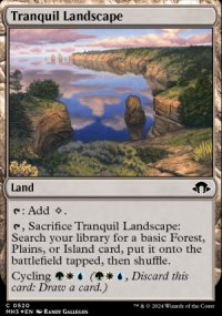 Paysage tranquille - Modern Horizons III