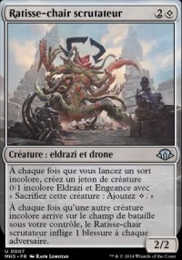 Ratisse-chair scrutateur - Modern Horizons III