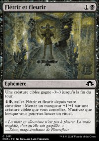 Fltrir et fleurir - Modern Horizons III