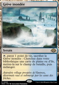 Grve inonde - Modern Horizons III