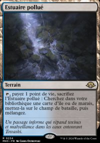 Estuaire pollu - Modern Horizons III