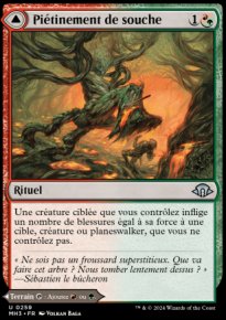 Pitinement de souche<br>Clairire de brlesaules
