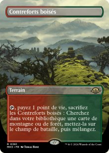 Contreforts boiss - Modern Horizons III