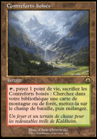 Contreforts boiss - Modern Horizons III