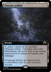 Estuaire pollu - Modern Horizons III