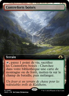 Contreforts boiss - Modern Horizons III