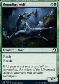 Bounding Wolf - Innistrad: Midnight Hunt