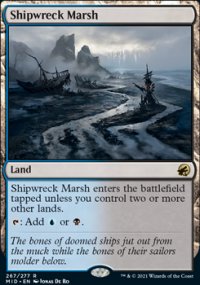 Shipwreck Marsh - 