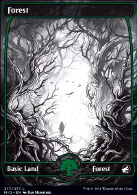 Forest 2 - Innistrad: Midnight Hunt