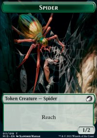 Spider - 