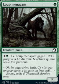 Loup menaant - 