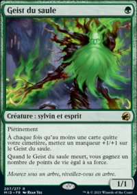 Geist du saule - 