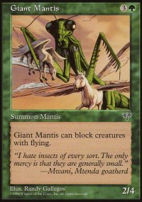 Giant Mantis - 