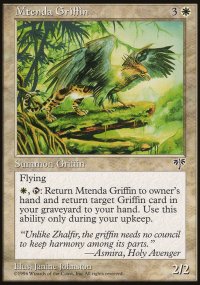 Griffon de la Mtenda - 