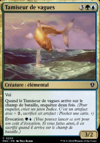 Tamiseur de vagues - 