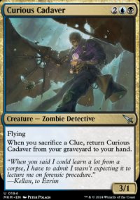 Curious Cadaver - 