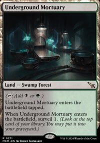 Underground Mortuary - 