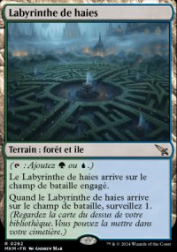 Labyrinthe de haies - 