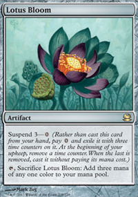 Lotus Bloom - 