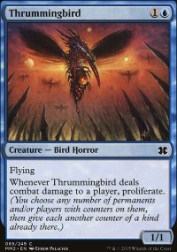 Thrummingbird - 
