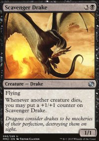 Scavenger Drake - 