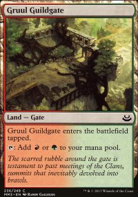 Porte de la guilde de Gruul - 