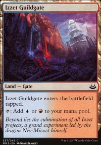 Izzet Guildgate - 