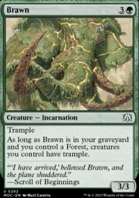 Brawn - March of the Machine Commander Decks