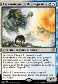 Escamoteuse de Brumeprairie - 