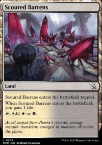 Scoured Barrens - 