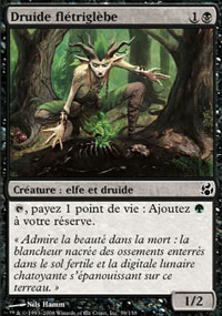 Druide fltriglbe - 