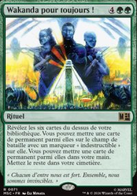 Wakanda pour toujours�! - Marvel Super Heroes Commander Decks