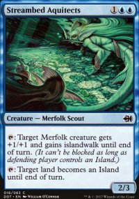 Streambed Aquitects - Merfolk vs. Goblins