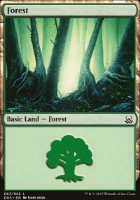 Forest - 