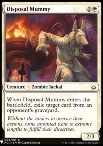 Disposal Mummy - 