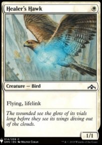 Healer's Hawk - 