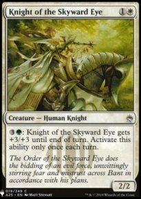 Knight of the Skyward Eye - 