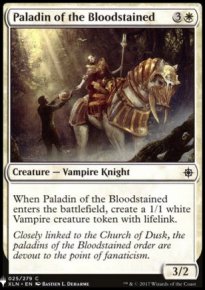 Paladin of the Bloodstained - 