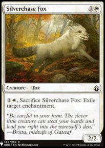 Silverchase Fox - 