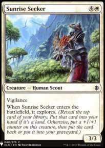 Sunrise Seeker - 