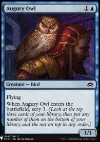 Augury Owl - 