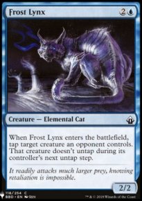 Lynx de gel - 