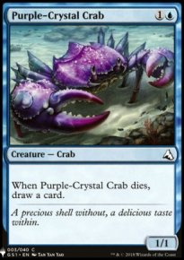 Purple-Crystal Crab - 