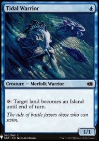 Tidal Warrior - 