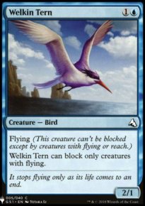 Welkin Tern - Mystery Booster