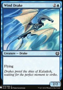 Wind Drake - 