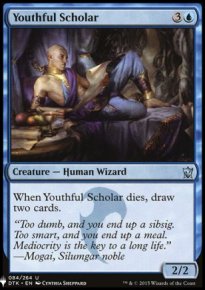 Youthful Scholar - 