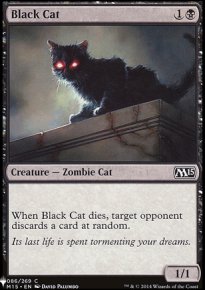 Chat noir - 